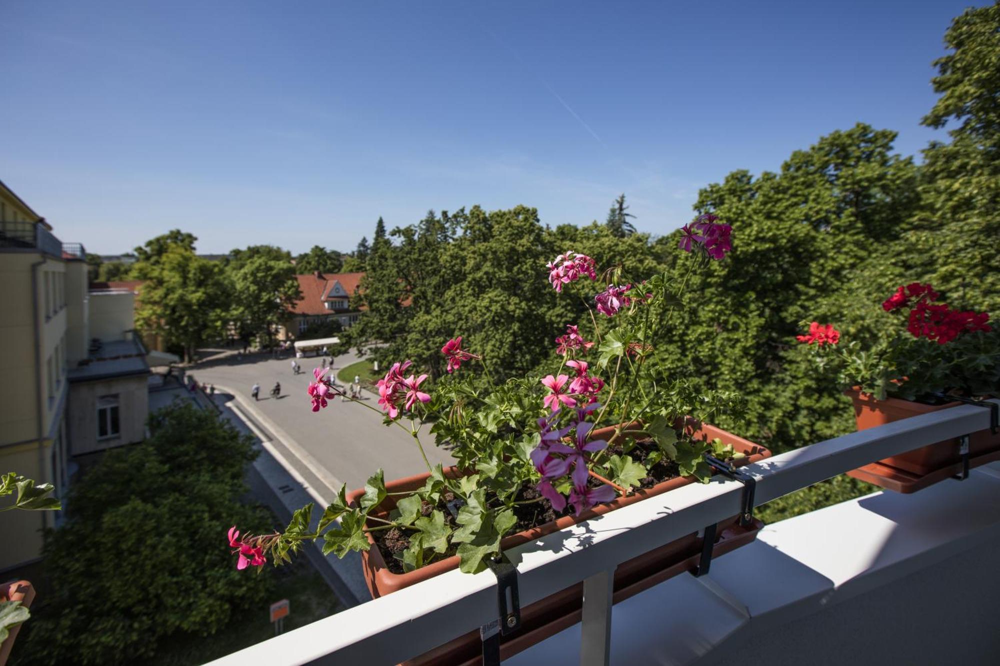 Hotel Bellevue Tlapak Podebrady Room photo